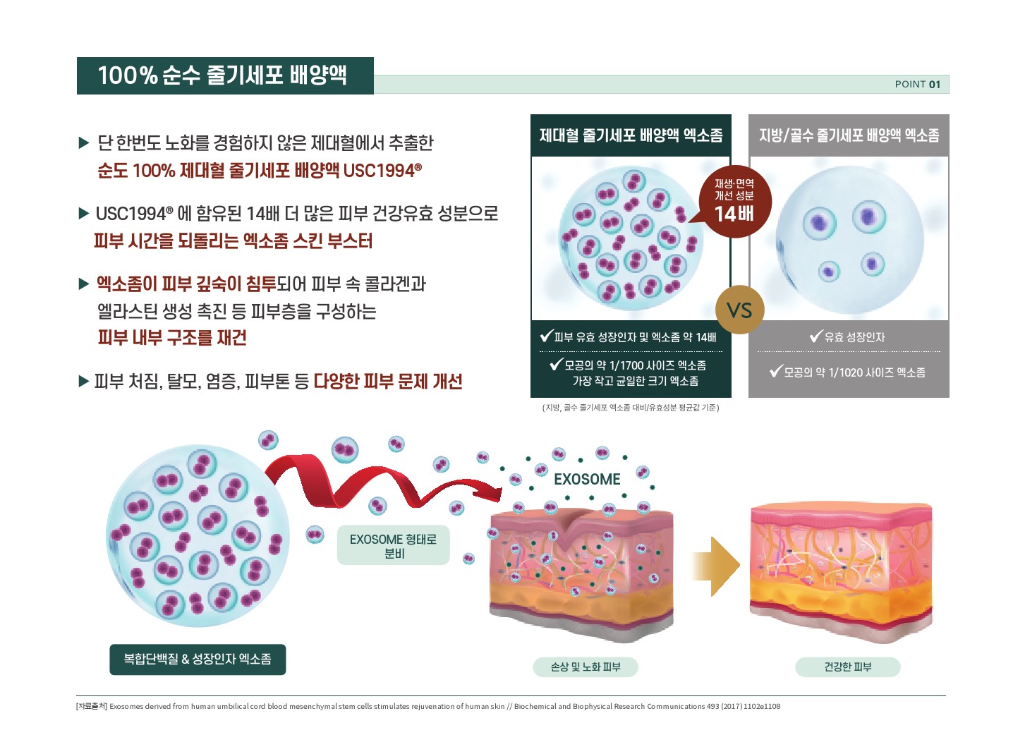 엑소좀-줄기세포 & 모낭 재생술 – 미라클 탈모센터